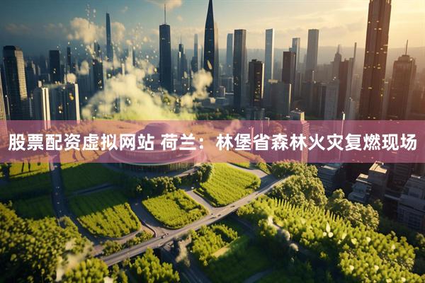 股票配资虚拟网站 荷兰：林堡省森林火灾复燃现场